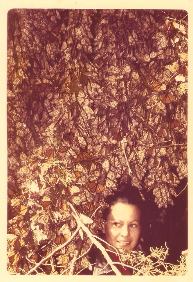 Catalina Trail, January 2, 1975, the day she and Ken Brugger "discovered" the Monarch butterfly Overwintering Sites