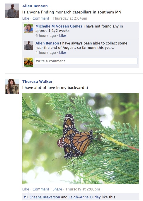 Monarch Watch on Facebook